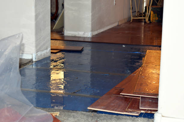 Professional Sewage Cleanup technician working in Greenport, NY